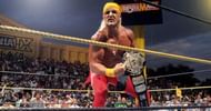 The Immortal Hulk Hogan